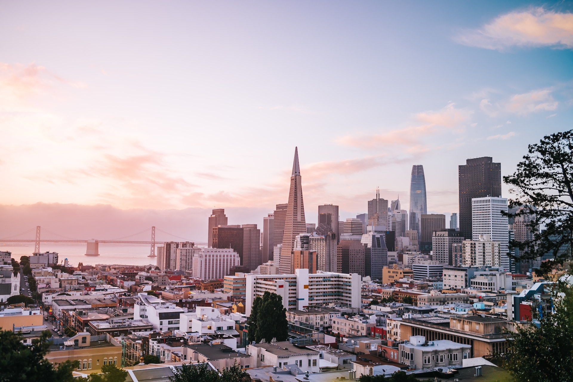 San Francisco's Breathtaking Panorama: An Unforgettable Vista