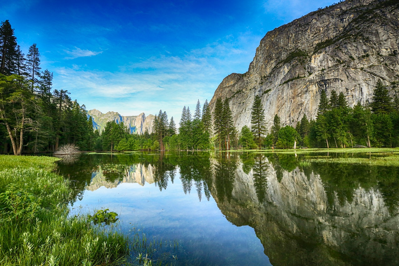Yosemite’s Whispering Pines: An Enchanting Journey