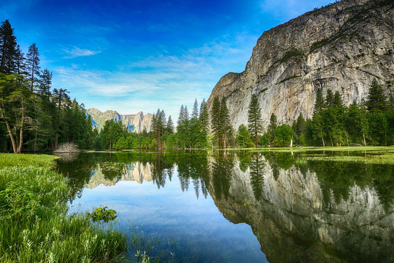 Yosemites Whispering Pines